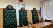 Брянский суд отправил москвича, насмерть сбившего 8-летнюю девочку, на принудительные работы 
