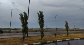 Брянскую область ожидают грозы и туманы в последнюю неделю августа