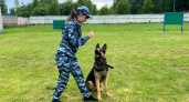 Брянское УМВД подало в суд на поставщика токсичного корма для служебных собак