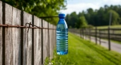 Подвешиваю бутылку с водой к забору. Это помогает мне решить одну деликатную проблему