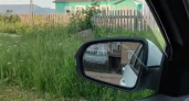 Когда вызов ГАИ на место ДТП может обернуться для вас плохо - советы и рекомендации