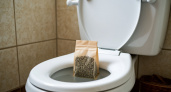 Уходя из дома, закидываю чайный пакетик в унитаз - волшебная рекомендация опытной горничной