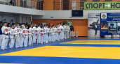 Брянские дзюдоисты завоевали два золота на мастерском турнире в Коврове