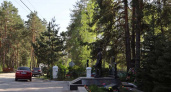 Кладбище в Белых Берегах под Брянском начнут расширять в июле