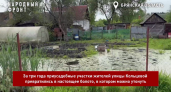 Уничтожение «исторических» ливнёвок в частном секторе Брянска превращает огороды в болото. А жители жалуются Путину