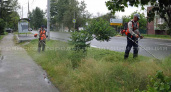 Косарей в Брянске «усилят» самоходными косилками