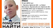 Поиски десятилетнего Вани Черкасова в Жуковке продолжались всю ночь. Ребёнок не найден