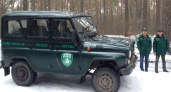 Брянские лесники вышли в рейды против незаконных рубщиков ёлок