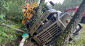Под Брянском опрокинулся в кювет лесовоз, водитель погиб. Возможно, и от остановки сердца