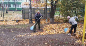 Власти Брянска занялись подсчётом листьев во дворах
