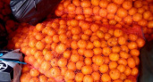 В Брянской области не выпустили за границу 3,9 тонн мандаринов и других цитрусовых