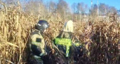 Брянские спасатели помогли застрявшей в болоте женщине
