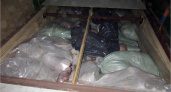 Брянские таможенники «превратили» ламинированную ДСП в шесть тонн контрабандного мяса