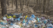 Брянские прокуроры рьяно взялись за опасные отходы