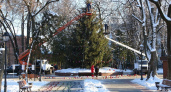 В Брянске наряжают главную городскую ёлку