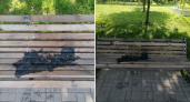 Вандалы в Новозыбкове пытались сжечь скамьи в сквере