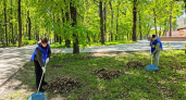 «Чистый парк!»: студенты БГТУ организовали традиционную весеннее-осеннюю уборку парка в Бежице