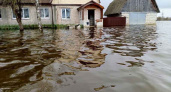 Паводок-2024: вода в черте Брянска уходит, по области число затопленных домов растёт
