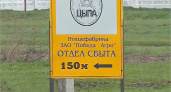 Руководитель дятьковской птицефабрики оштрафован за зарплаты не в срок