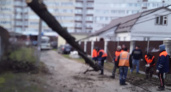 В Брянске устраняют последствия шквалистого ветра
