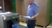 В Брянской области с начала года проверили 4 тыс. международных посылок с продуктами