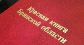 Красную книгу Брянской области перевыпустят в 2026 году