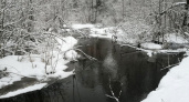 Малые реки Брянской области начали вскрываться от льда и выходить на пойму