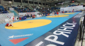 Брянскую область на домашнем чемпионате страны по самбо представят 25 спортсменов