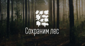 Брянская область присоединилась к всероссийской осенней акции «Сохраним лес»