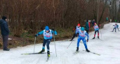 Отменённое из-за отсутствия снега лыжное первенство в Брянске всё-таки состоялось