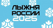 Брянская «Лыжня России-2025» из-за полного отсутствия снега пройдет на лыжероллерной трассе в Новозыбкове
