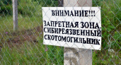 Брянские власти заинтересовались состоянием и сохранностью скотомогильников