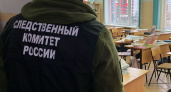 Уголовное дело по статье об убийстве двух и более лиц возбуждено по факту инцидента в брянской гимназии №5
