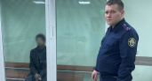 В Брянске заключён под стражу 19-летний насильник, изрезавший ножом 16-летнюю студентку колледжа искусств
