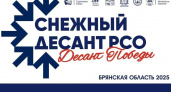 В Брянской области сформировали «cнежный десант-2025». На всякий случай или в надежде?
