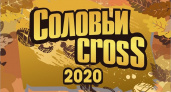 Забег по пересечённой местности в «Соловьях» завершит осенний сезон «Спортивной среды»