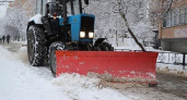 Брянские региональные власти требуют вывозить снег с дорог