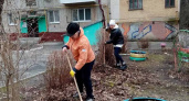Власти Брянска зазвали горожан на субботник 8 апреля