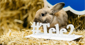 Tele2 приглашает в необычное путешествие по Брянской области