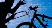 Добычей угонщика в Брянске стал премиум-велосипед