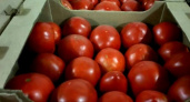 В Брянской области раздавили более 6 тонн подозрительных томатов