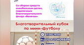 В Брянске пройдёт футбольный турнир в помощь онокобольным детям