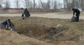 Студенты и активисты ОНФ очистили аэродром «Бежица» от мусора
