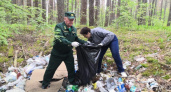 Брянские волонтёры сложили в мешки свалки вдоль дороги на Партизанскую поляну