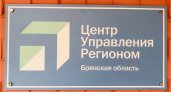 Вакцинация и дороги: две проблемы для жителей Брянской области - ЦУР