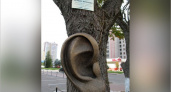 Брянское «ушастое дерево» попало в реестр самых необычных скульптур России