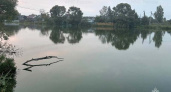 В озере Нижнее в Любохне утонул пожилой мужчина