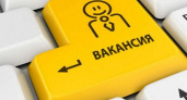 Самыми дорогими вакансиями в Брянской области в начале года стали менеджерские вакансии