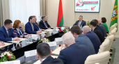 Брянская делегация участвует в выборах президента Белоруссии. Наблюдая