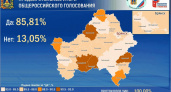 Почти 86% «за»: брянский облизбирком огласил итоги голосования по поправкам в Конституцию